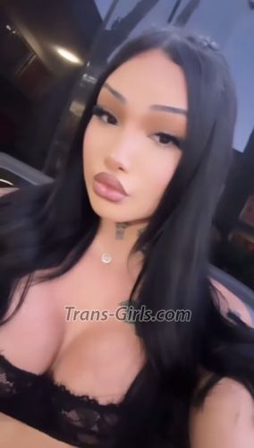 trans girl Adrisherman 6614449 trans girl Adrisherman 6614449