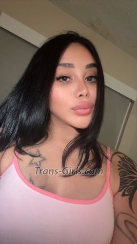 trans girl Andover 3519013 trans girl Andover 3519013