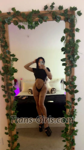 trans girl Arlington 4961831