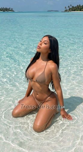 trans girl Ashelydoll 0805174 trans girl Ashelydoll 0805174