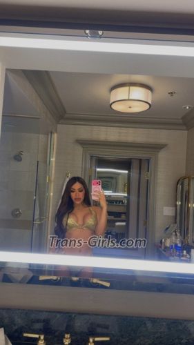 trans girl aleexotic 6746278
