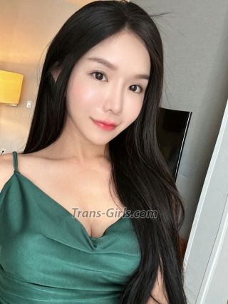 trans girl alisface 6538248 trans girl alisface 6538248