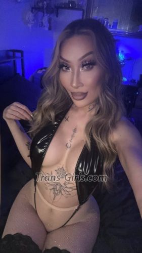 trans girl ariparamount 3936065