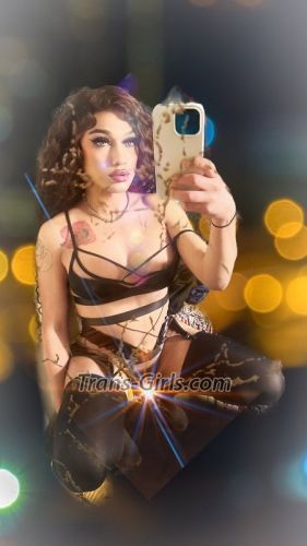 trans girl ashlayy 5224239