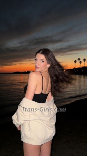 trans girl autumn 3553428 trans girl autumn 3553428