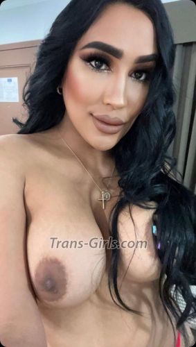 trans girl availablenew 3803670 trans girl availablenew 3803670