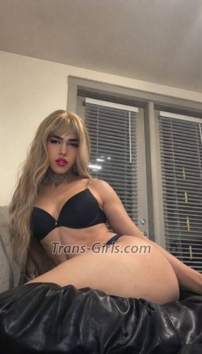 trans girl bbydollcuba 9481730 trans girl bbydollcuba 9481730
