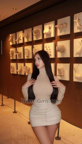 trans girl danessatr 1871424 trans girl danessatr 1871424