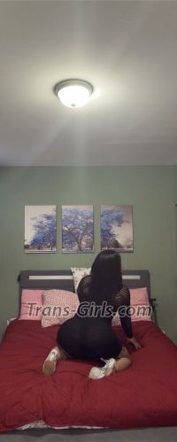trans girl dulcenorcros 8181578 trans girl dulcenorcros 8181578