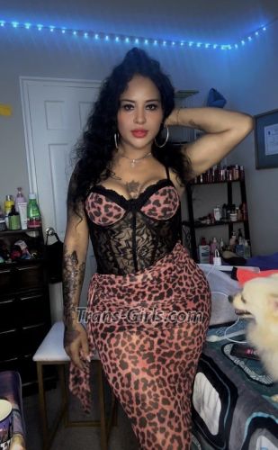 trans girl estrellasexy 2083410 trans girl estrellasexy 2083410