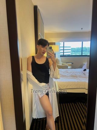 trans girl femnina 7000547 trans girl femnina 7000547