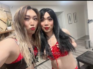 trans girl girlsdom 6566721