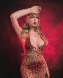 Hayley Chicago Transex About Me? Watch vid for verification
▶️ ⭐️See my debut⭐️Trans
strippers @cocoscabaret (Instagram) on the 28th
• 7.5 Inches • Give & Receive (your choice)•
 Meeting & FaceTime shows available Playful beauty with wide
eyes Follow me on Instagram & X
@hayleyhiltontv 