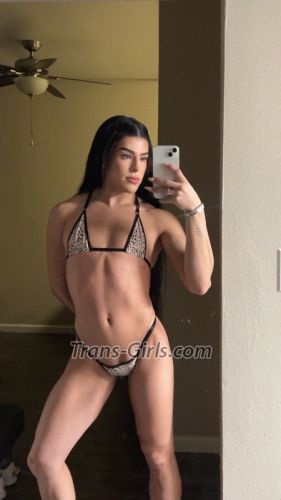 trans girl haileyaristi 5587406 trans girl haileyaristi 5587406