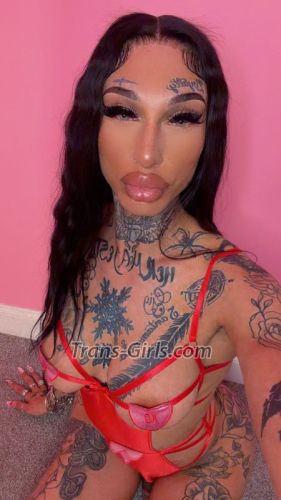 trans girl hirmjesty 2052716 trans girl hirmjesty 2052716