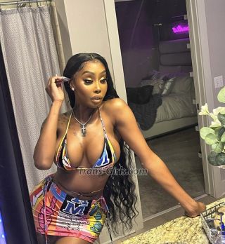 trans girl honeycambrid 3518521 trans girl honeycambrid 3518521