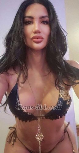 trans girl Jessica 7658280 trans girl Jessica 7658280