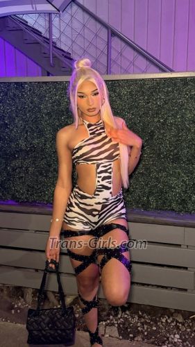 trans girl jstallion 1696440 trans girl jstallion 1696440