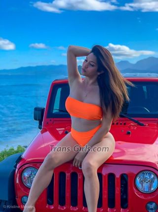 trans girl Katrina 6550401 trans girl Katrina 6550401