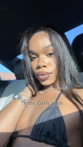 trans girl Khadijah 3700713 trans girl Khadijah 3700713