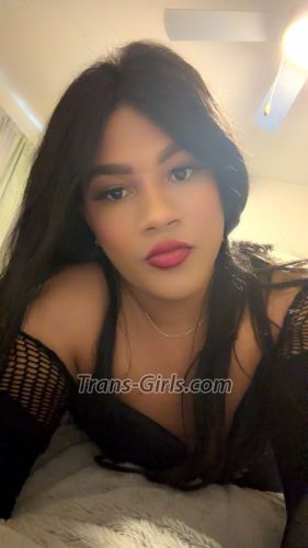 trans girl karollatina 1531020 trans girl karollatina 1531020