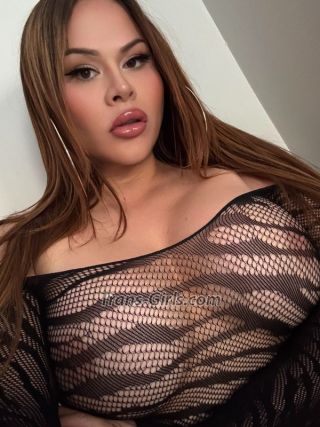 trans girl lancaster 5531434 trans girl lancaster 5531434