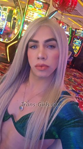trans girl lastday 3097466 trans girl lastday 3097466