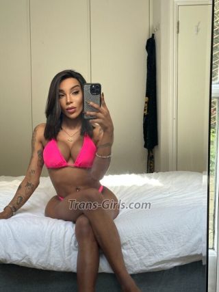trans girl MichelleLowe 2300255 trans girl MichelleLowe 2300255