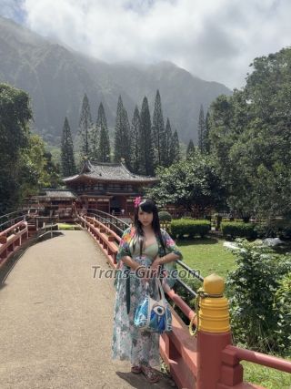 trans girl misskitty 2394451 trans girl misskitty 2394451
