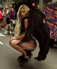 Natasha21 New York Manha Transex I’m fitness model visiting, we can have so much fun together, I\'m a party girl, classic and educated,  just serious proposals... xo 6463050121