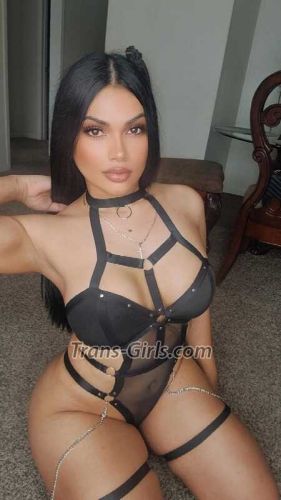 trans girl Paulinax 2787279 trans girl Paulinax 2787279