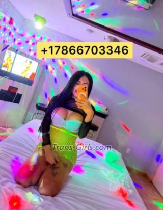 trans girl party 8966589 trans girl party 8966589