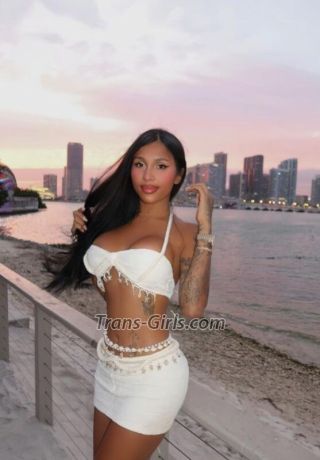 trans girl partymidwton 9035056 trans girl partymidwton 9035056
