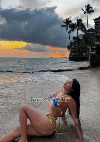 trans girl partymidwton 9035085 trans girl partymidwton 9035085