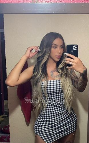 trans girl Roxysexy 4729833 trans girl Roxysexy 4729833
