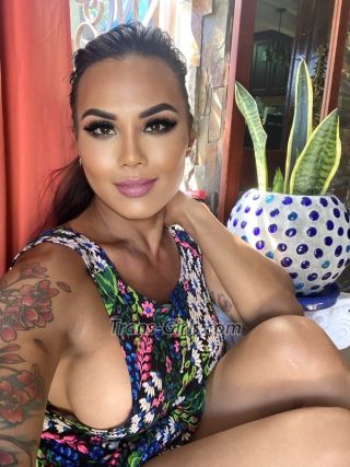 trans girl racheldiamon 7431206 trans girl racheldiamon 7431206