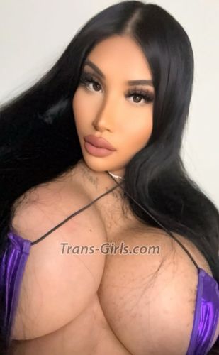 trans girl Sabrinaxo 9680478 trans girl Sabrinaxo 9680478