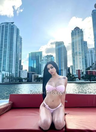 trans girl Sasha 1869678 trans girl Sasha 1869678