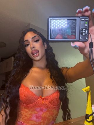 trans girl Sasha 1869757 trans girl Sasha 1869757
