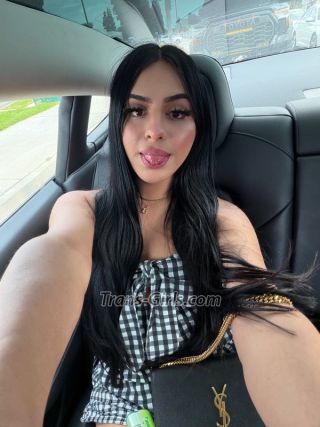 trans girl Sinaloa 7004180 trans girl Sinaloa 7004180