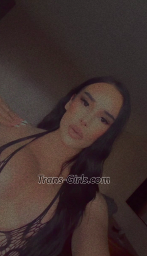 trans girl Sophia9 1871542