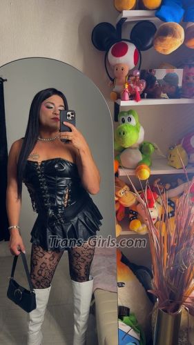 Shemale Stefania 1026841 Shemale Stefania 1026841