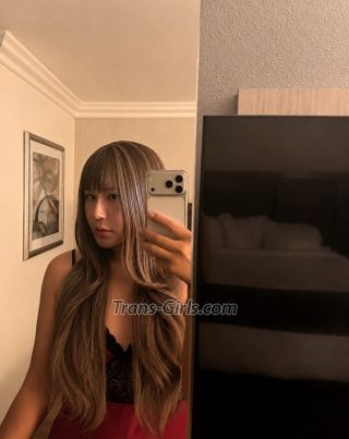 trans girl sakuravisiti 3440365 trans girl sakuravisiti 3440365