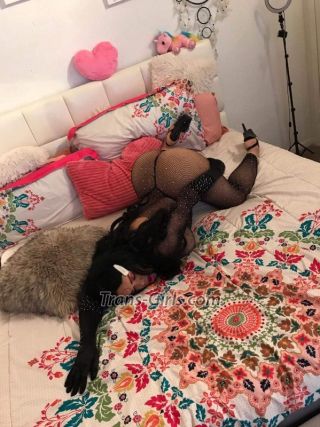 trans girl sexymia 8128552 trans girl sexymia 8128552
