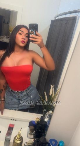 trans girl sofiaparty 2492388 trans girl sofiaparty 2492388