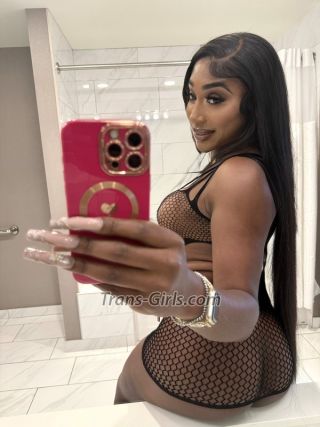 trans girl Tammyinch 8017260 trans girl Tammyinch 8017260