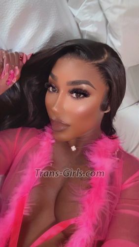 trans girl Tammyinch 8017284 trans girl Tammyinch 8017284