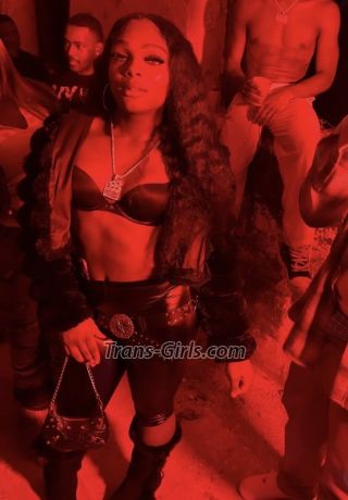 trans girl taylorp 1022269 trans girl taylorp 1022269