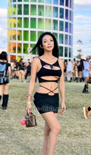 trans girl thaitown 3127577 trans girl thaitown 3127577