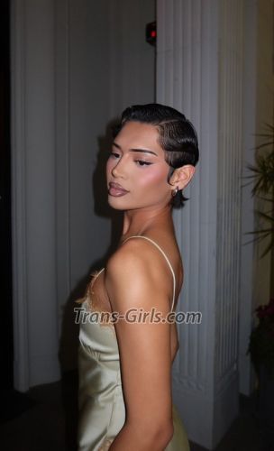 trans girl thebarbietwin 3937175 trans girl thebarbietwin 3937175